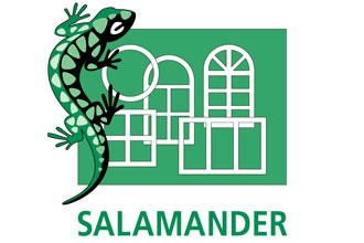 Salamander